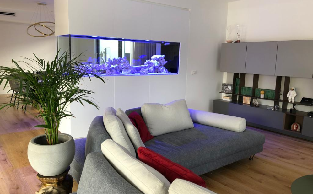 HOW TO MAINTAIN A SALTWATER AQUARIUM