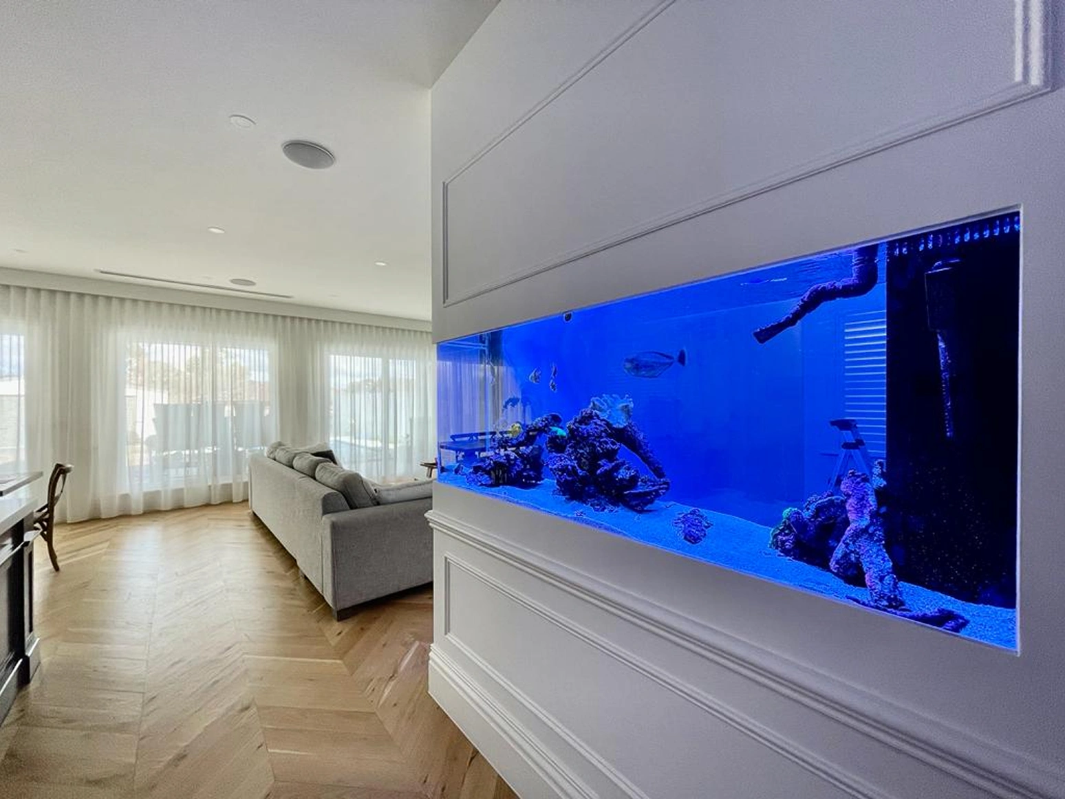 Beginner Aquarium Guide: What to Know Before You Buy