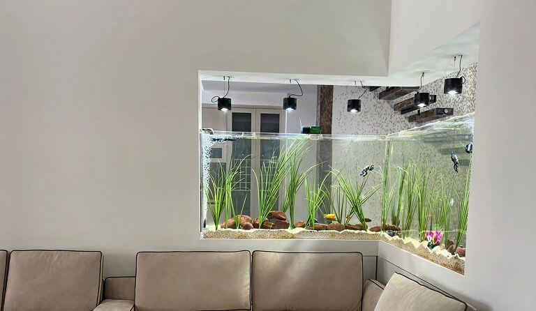 Professional for Your Aquarium