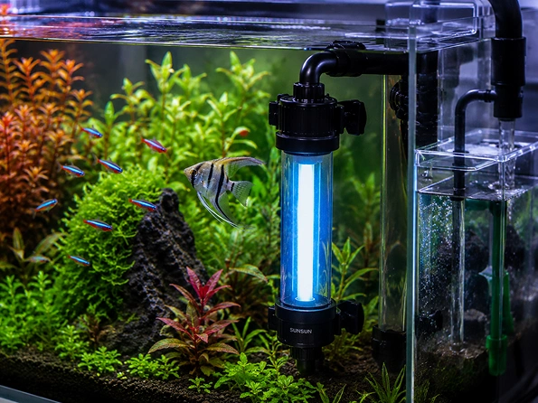 Do UV Sterilisers Actually Help inAquariums