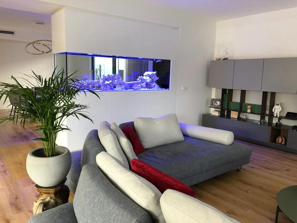 Why Luxury Homes Are Embracing Built-In Aquariums