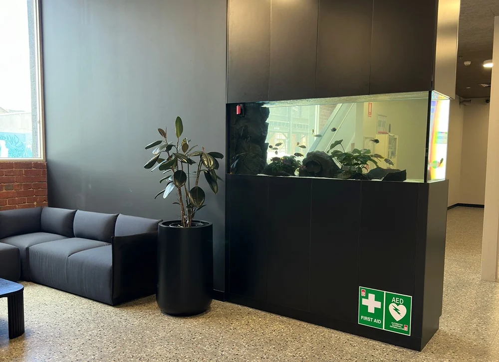 Why Every Modern Workplace Should Have an Aquarium
