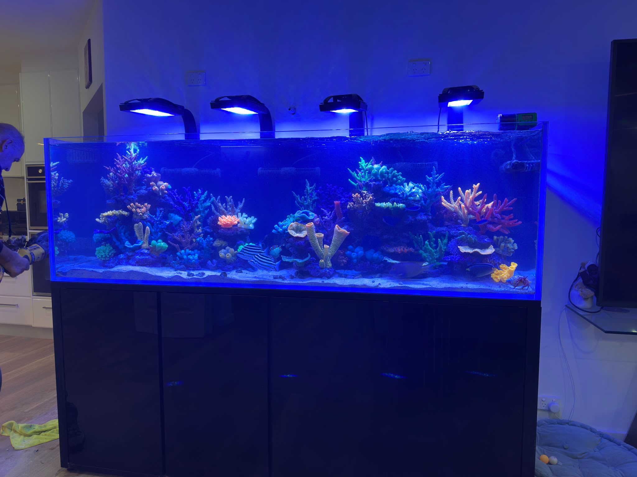 Common Aquascaping Mistakes and How to Avoid Them